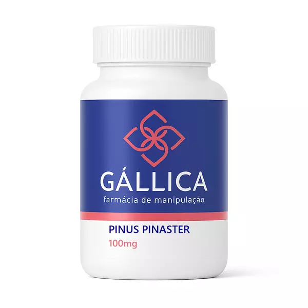 Pinus pinaster 100mg 